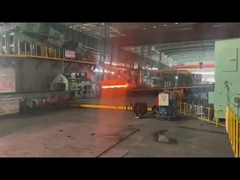 La ligne de traitement des tuyaux sans soudure laminée à chaud